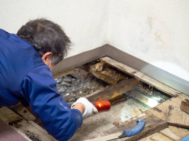 Best Crawl Space Mold Removal  in Toppenish, WA