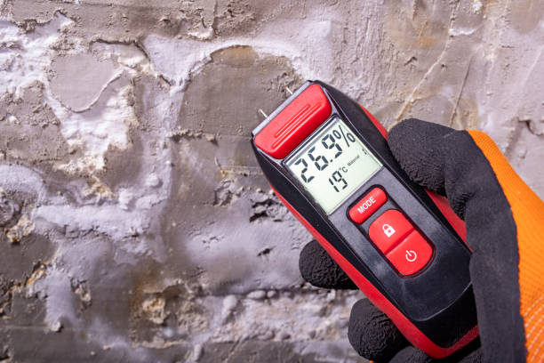 Best Professional Mold Removal  in Toppenish, WA