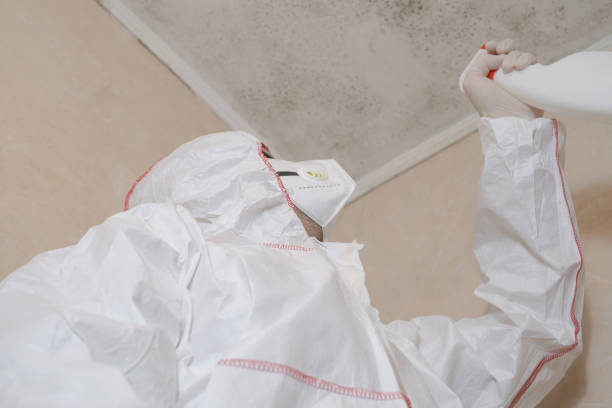 Best Mold Removal and Inspection  in Toppenish, WA