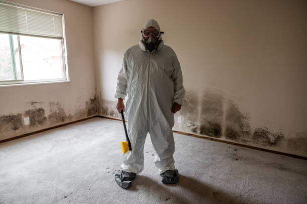 Best Emergency Mold Removal  in Toppenish, WA