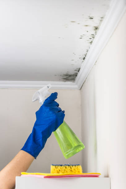 Best Mold Cleaning Services  in Toppenish, WA