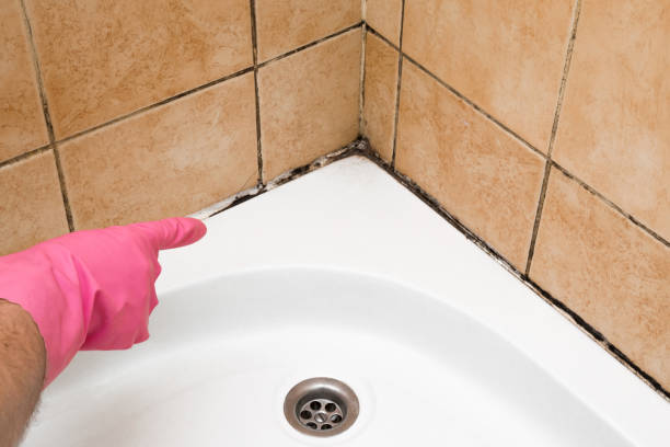 Best Office Mold Removal Services  in Toppenish, WA